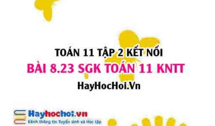 Bài 8.23 SGK Toán 11 Tập 2 Kết nối tri thức